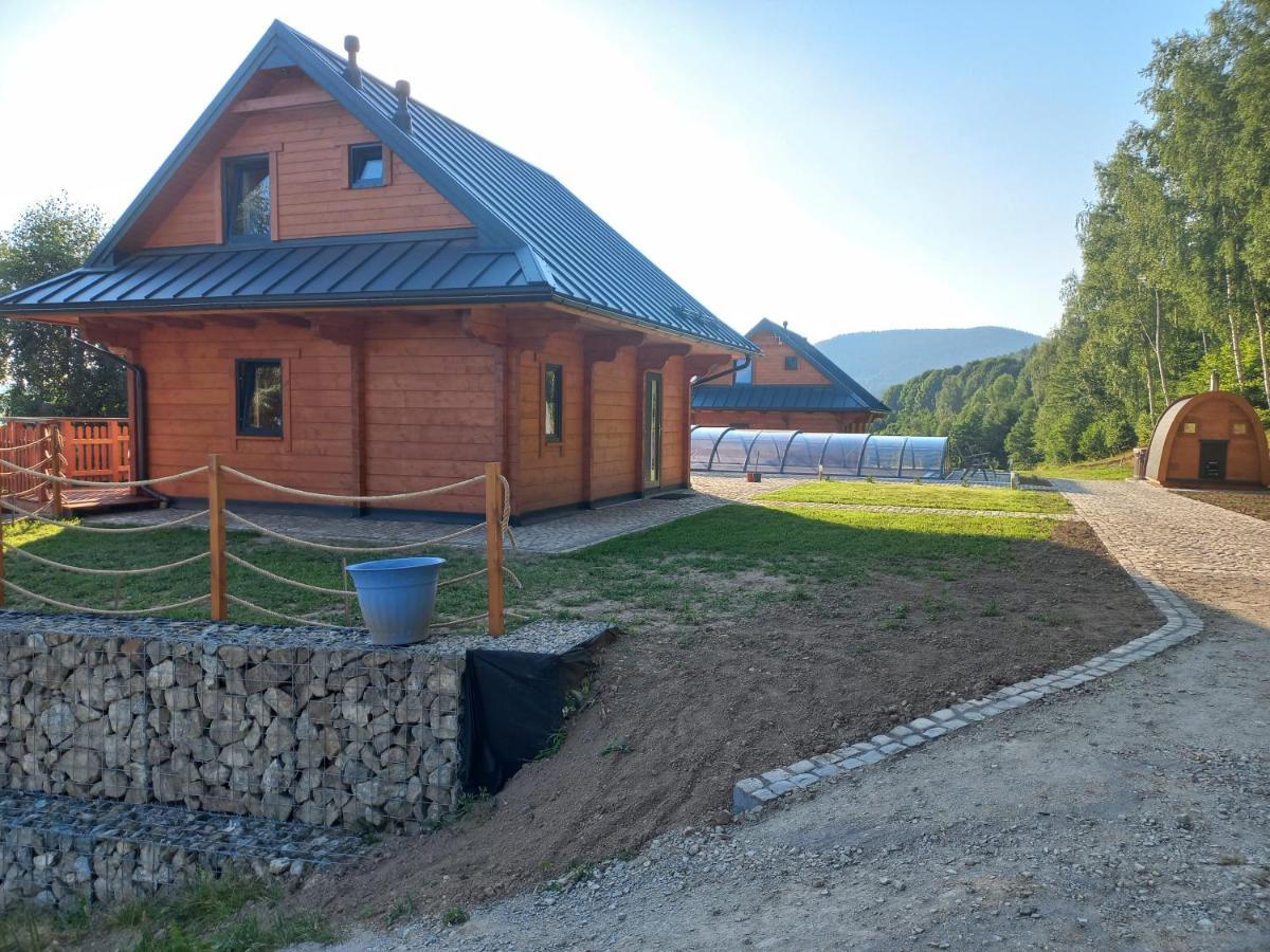Sowiogorska Ostoja Apartment Jugów Екстериор снимка
