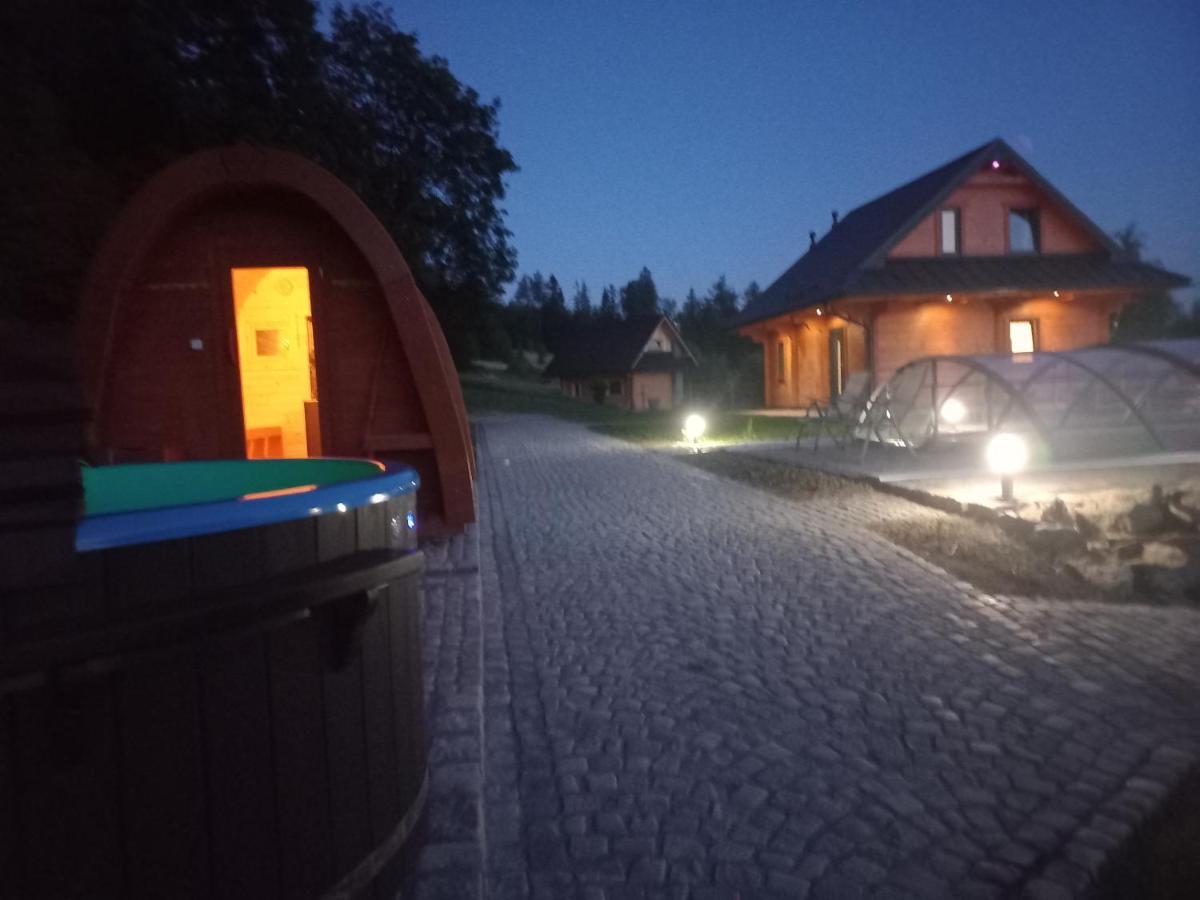 Sowiogorska Ostoja Apartment Jugów Екстериор снимка