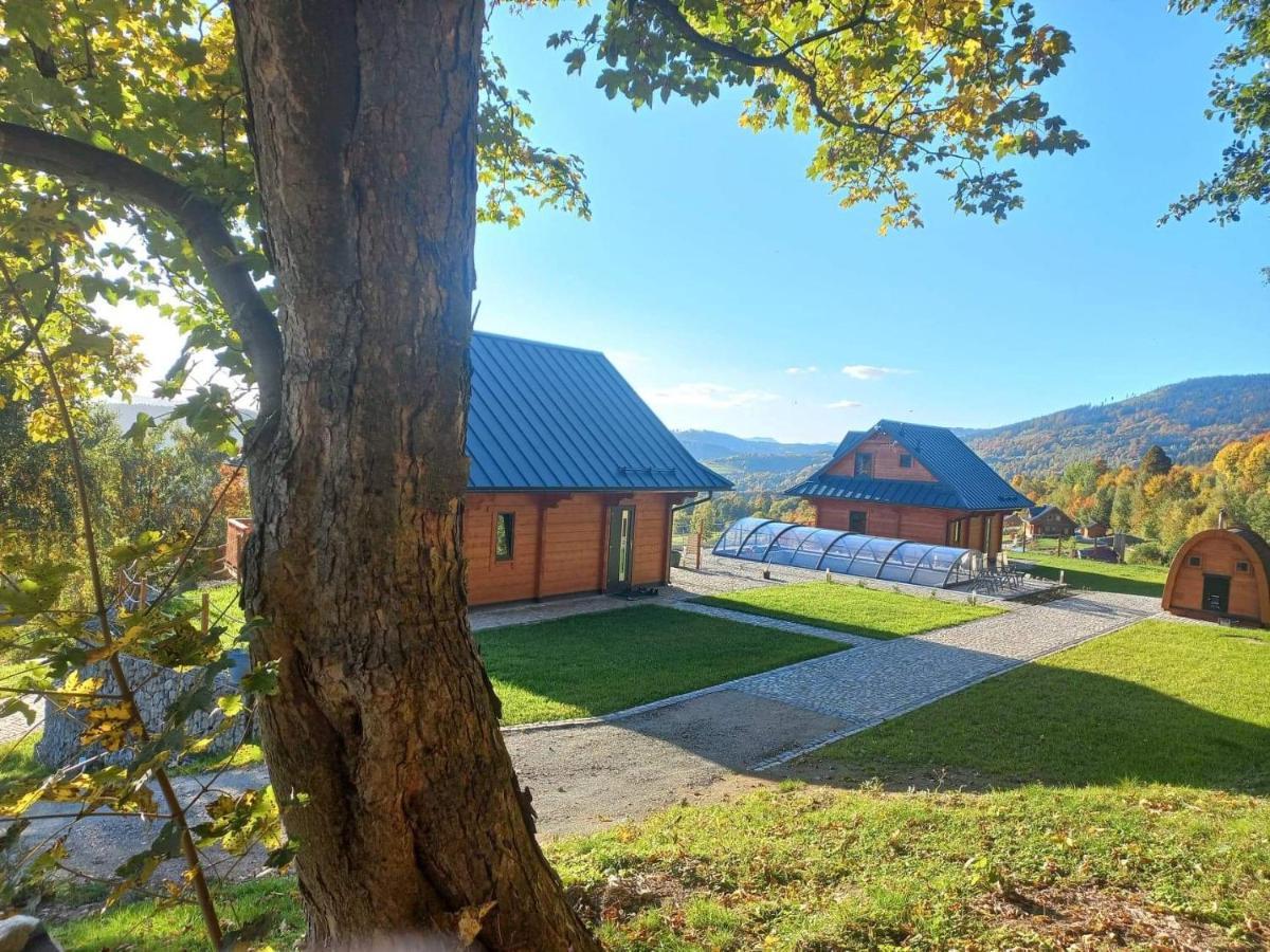 Sowiogorska Ostoja Apartment Jugów Екстериор снимка
