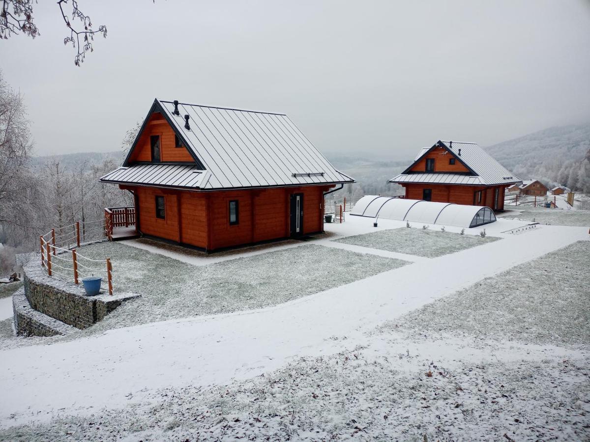 Sowiogorska Ostoja Apartment Jugów Екстериор снимка